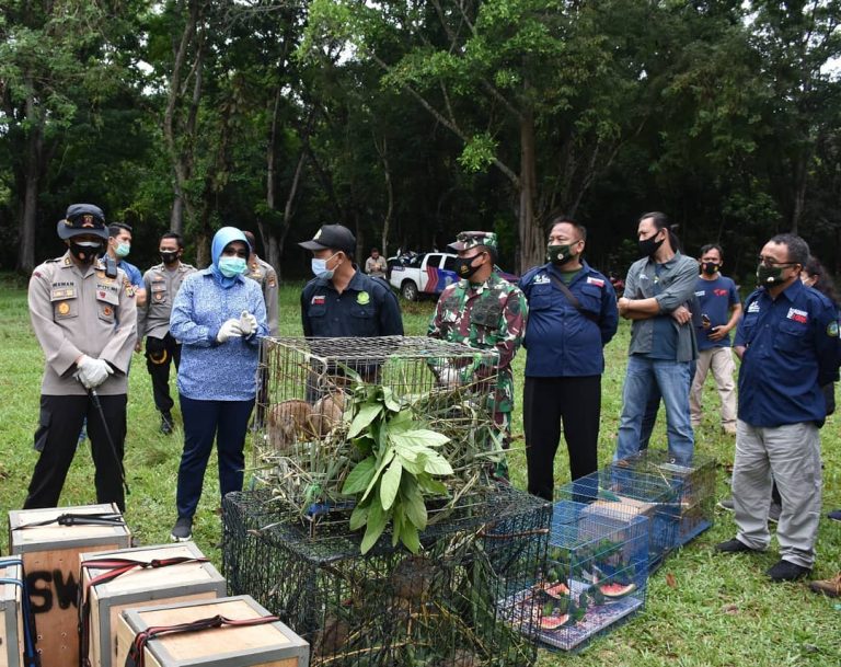 SaveClip.App_121147786_674107523238897_7854399425051083537_n