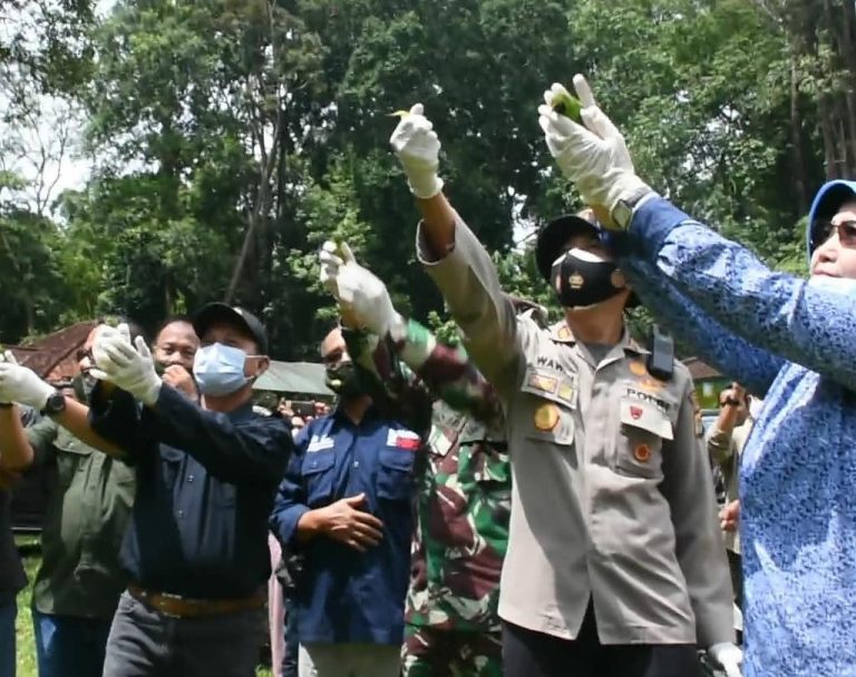 SaveClip.App_121225494_195449442032800_3745677576843826382_n