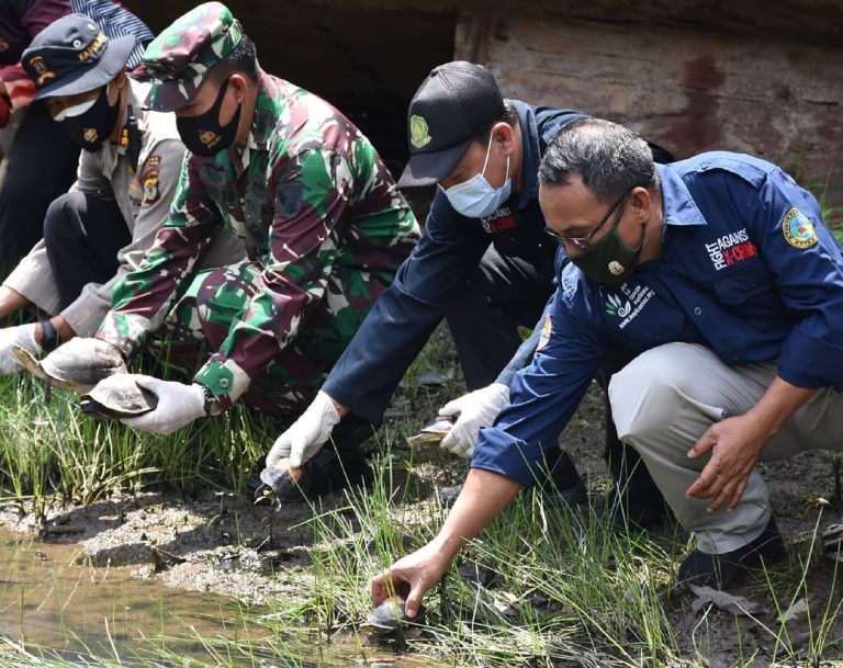 SaveClip.App_121354379_175472340832073_320434663465300968_n