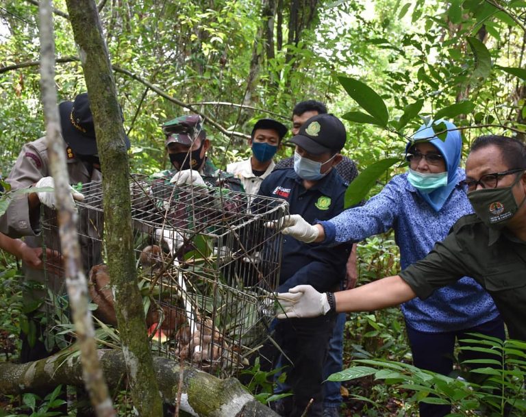 SaveClip.App_121458348_1698919643618576_8826249317359722829_n