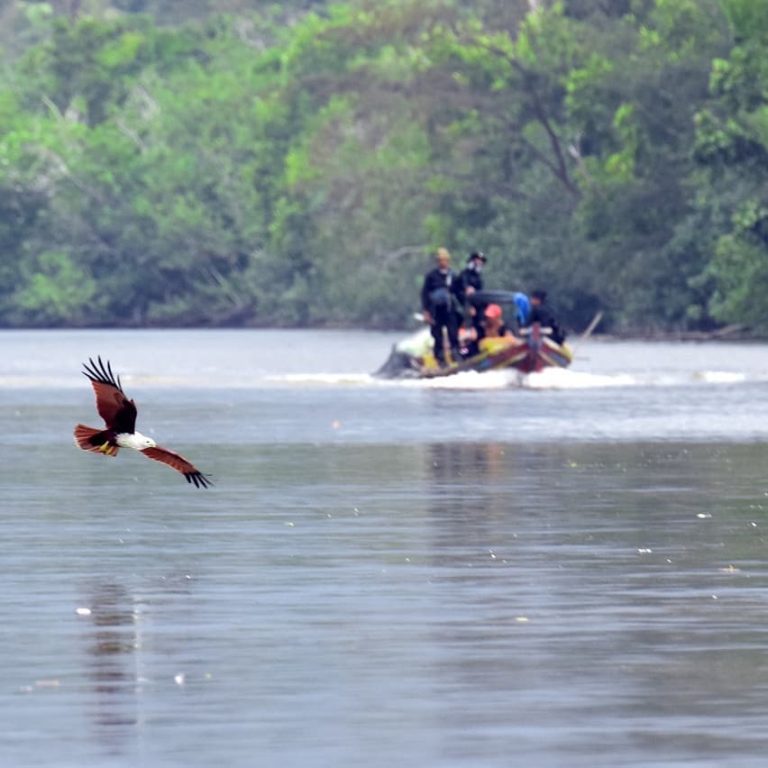 SaveClip.App_28752516_1997576370570304_6032824292184424448_n