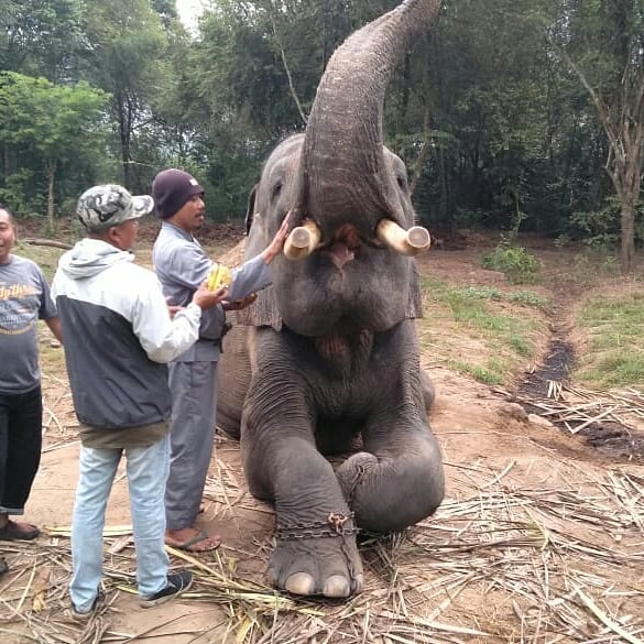 SaveClip.App_61617050_1951340134966432_8391584246807390140_n