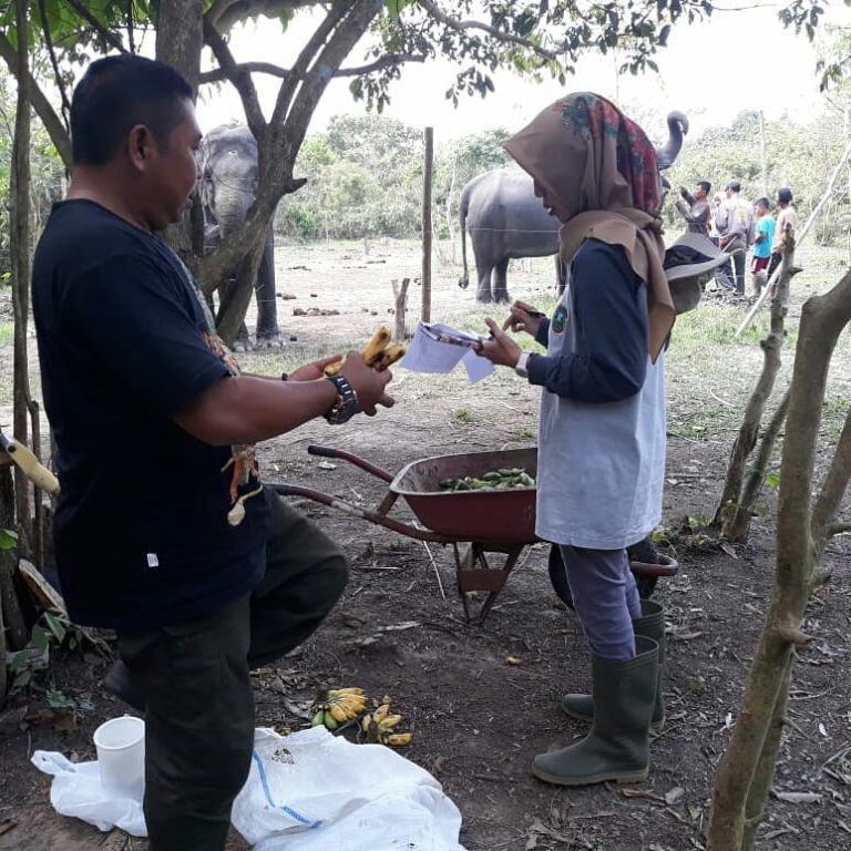 SaveClip.App_65763798_244526536503774_7862483820882857589_n