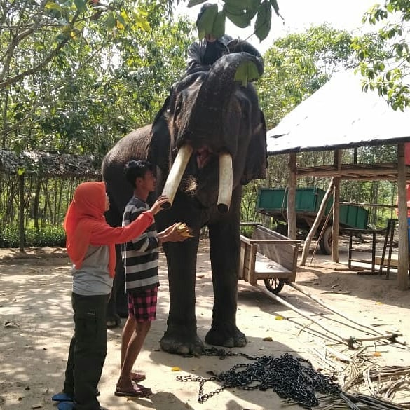 SaveClip.App_65918847_505349320216870_2825905593007491011_n