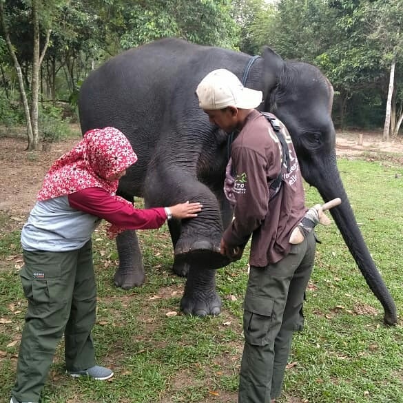 SaveClip.App_67403120_1098644173660561_6058994393372131267_n