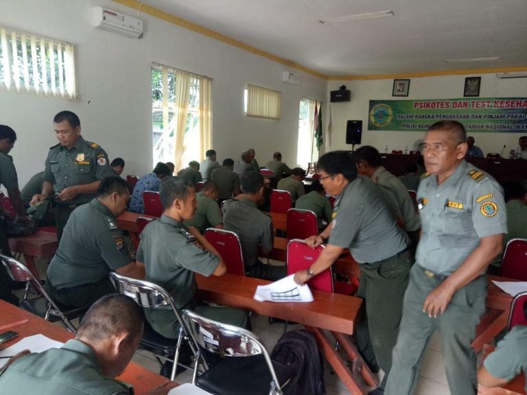 SaveClip.App_42607288_266414084015745_5876682050153771158_n