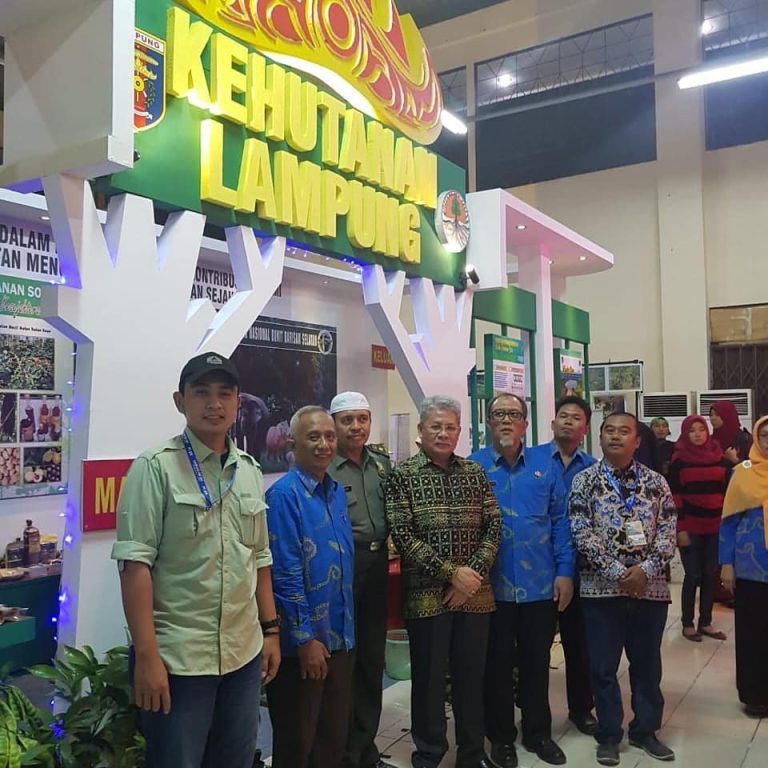 SaveClip.App_651475946_18311317204260852_7669172313036922069_n