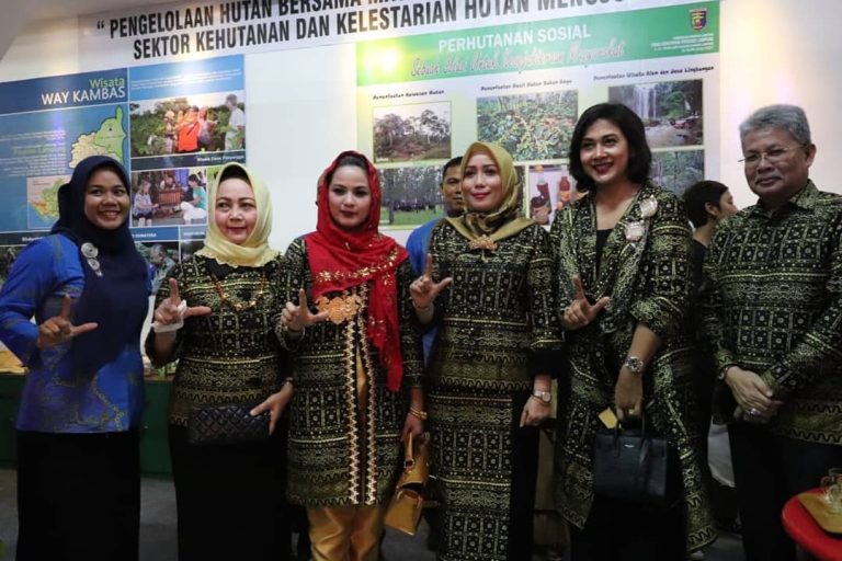 SaveClip.App_653548570_18367696840161547_5108157834585490877_n