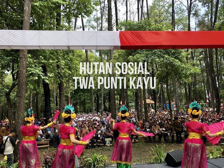 Pemerataan Akses Kelola Hutan Presiden Jokowi Serahkan SK Perhutanan Sosial di Sumatera Selatan