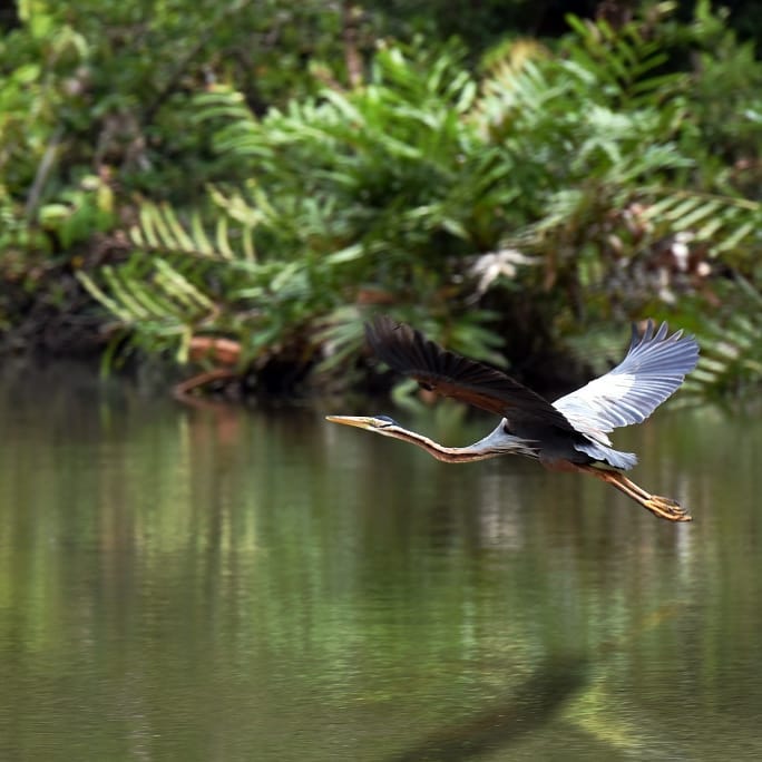 SaveClip.App_28754413_179254196200811_5124133122157314048_n