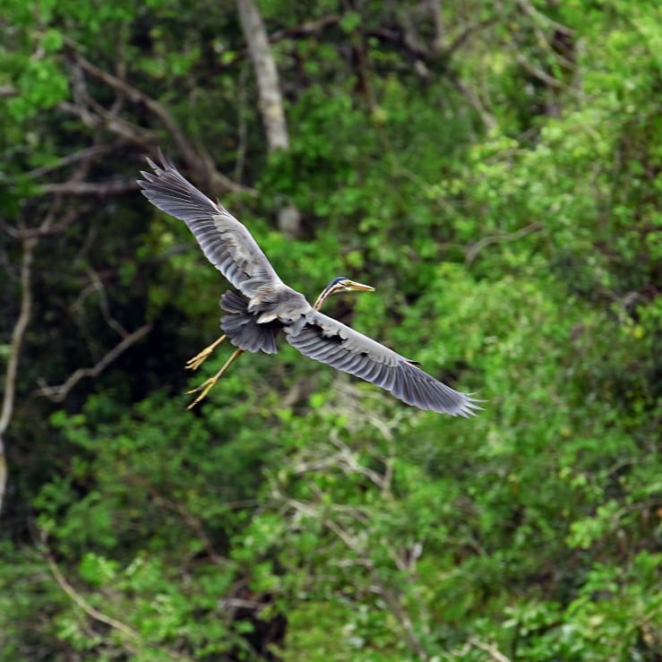 SaveClip.App_29088325_2046465892300129_3728033726051909632_n