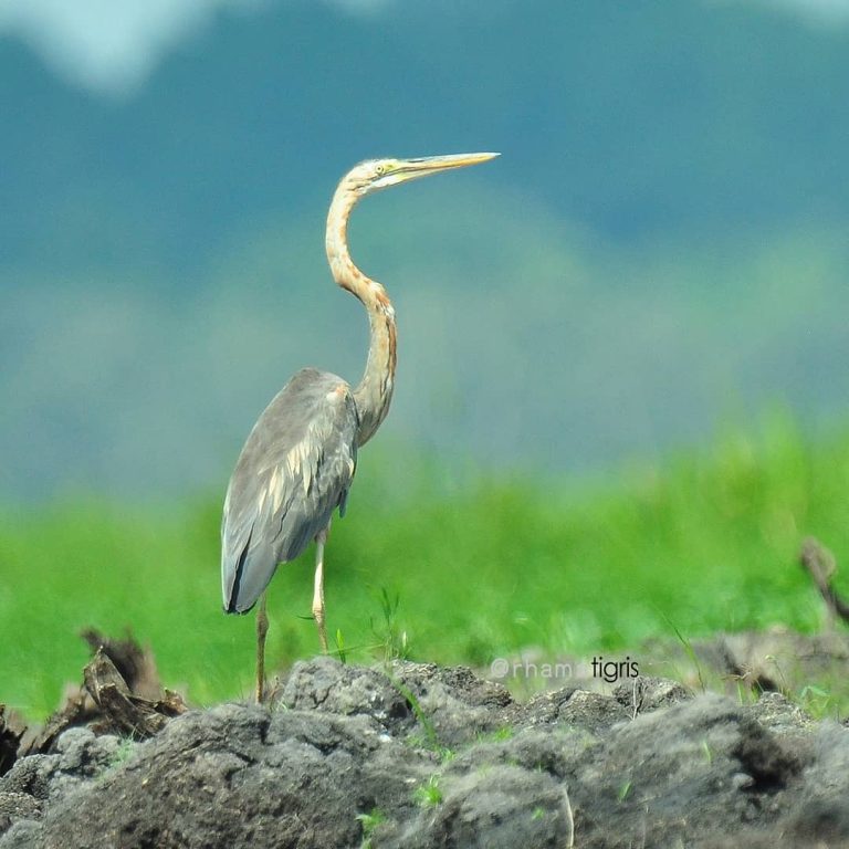 SaveClip.App_29090033_837833983054825_1580387449115246592_n