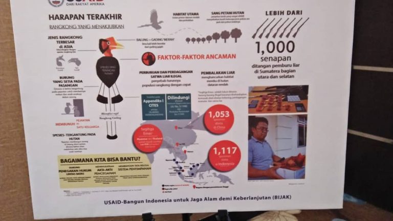 SaveClip.App_43913066_1961354417287599_721594934360341138_n