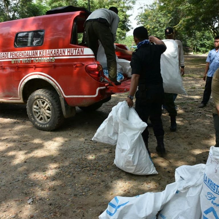 SaveClip.App_51749399_302337530449151_7205146788414170135_n