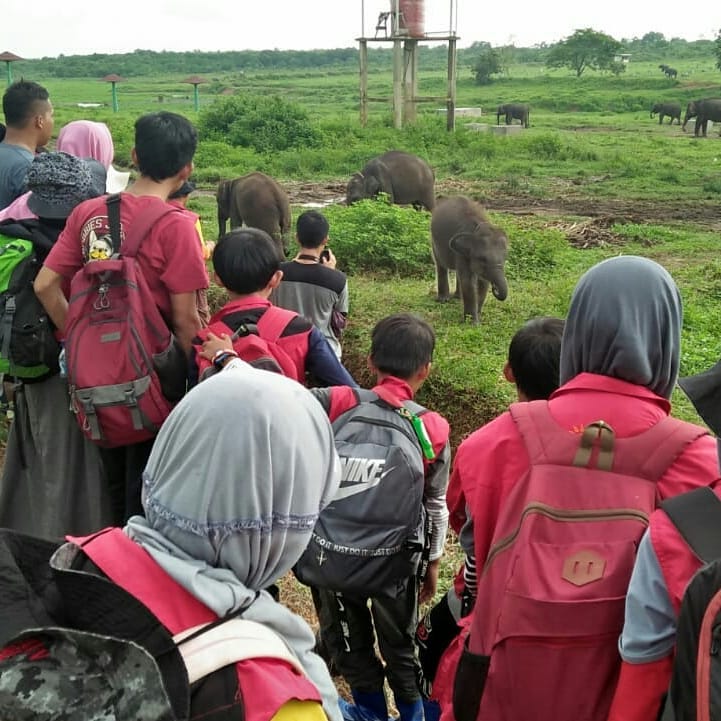 SaveClip.App_52533072_1230983473724345_5130947607249465117_n (1)