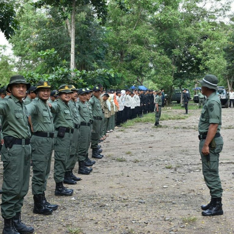 SaveClip.App_53016450_398319860733038_4757777061023554610_n