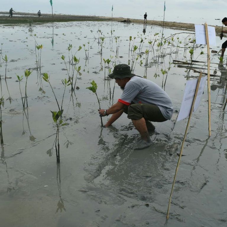 SaveClip.App_53330899_321371735395305_2899251328852815781_n