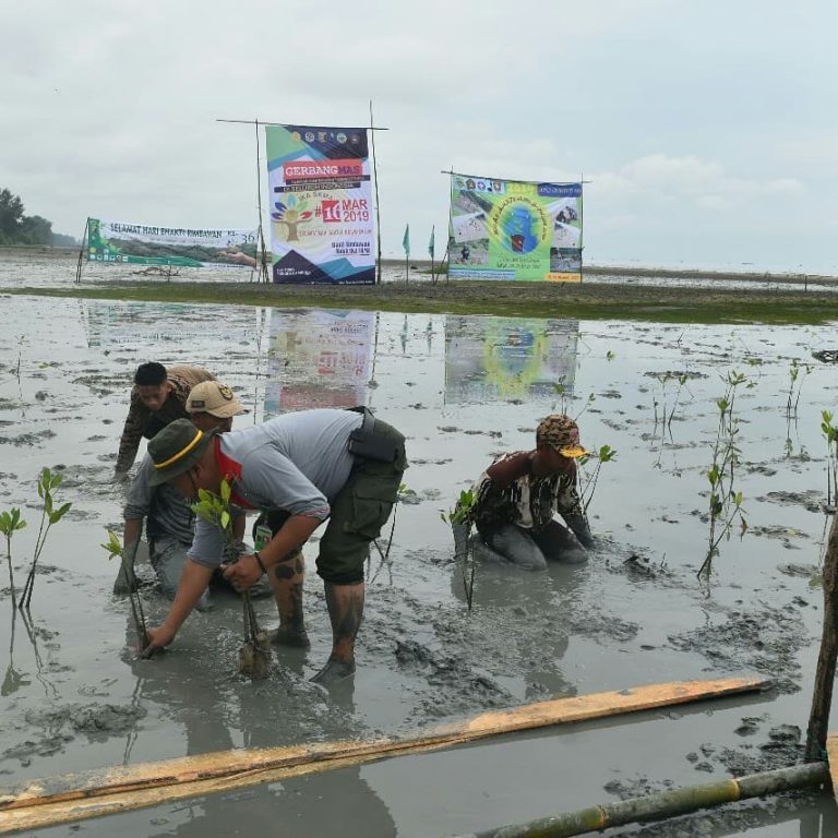 SaveClip.App_54731565_2166615333387764_5515713916416377655_n