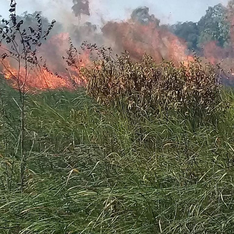 SaveClip.App_66395785_2150910081875370_3651440265524650356_n