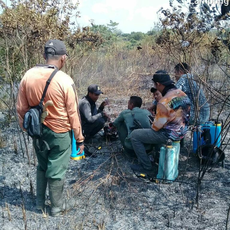 SaveClip.App_66410109_397911914171894_1819032556863219025_n