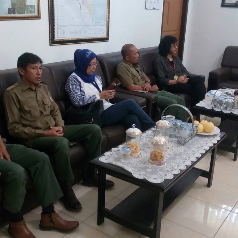 SaveClip.App_69837161_356401831972336_4869658914468087824_n