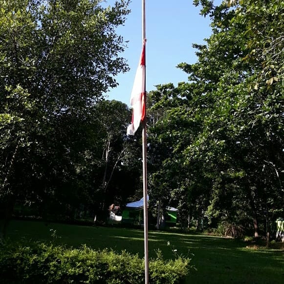 SaveClip.App_642514927_18091647440035571_5175825083482982368_n