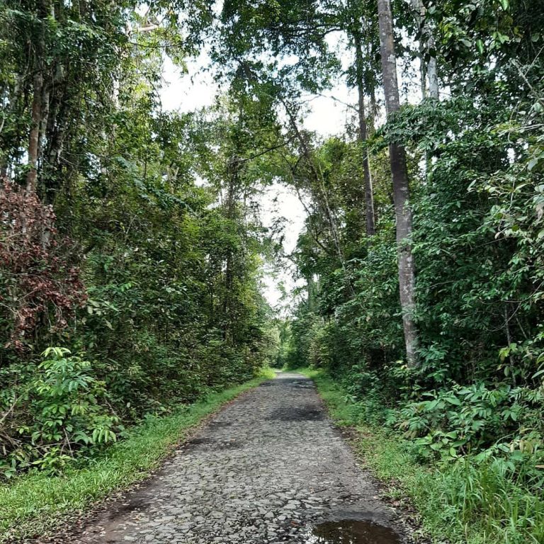 SaveClip.App_642955356_18097696273757962_2529549613082978221_n