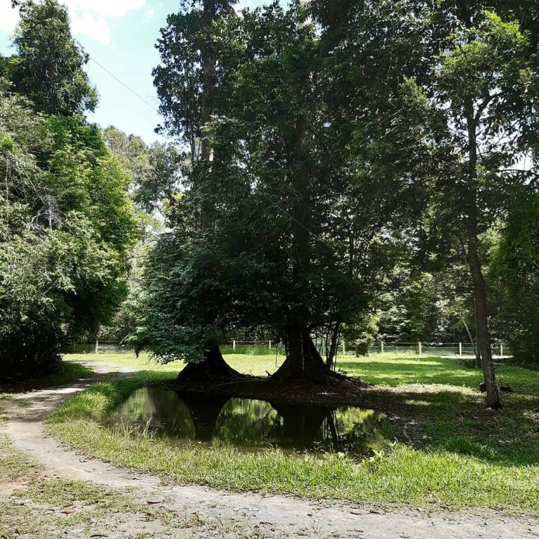 SaveClip.App_648650733_18081994103032576_7584223926640923179_n