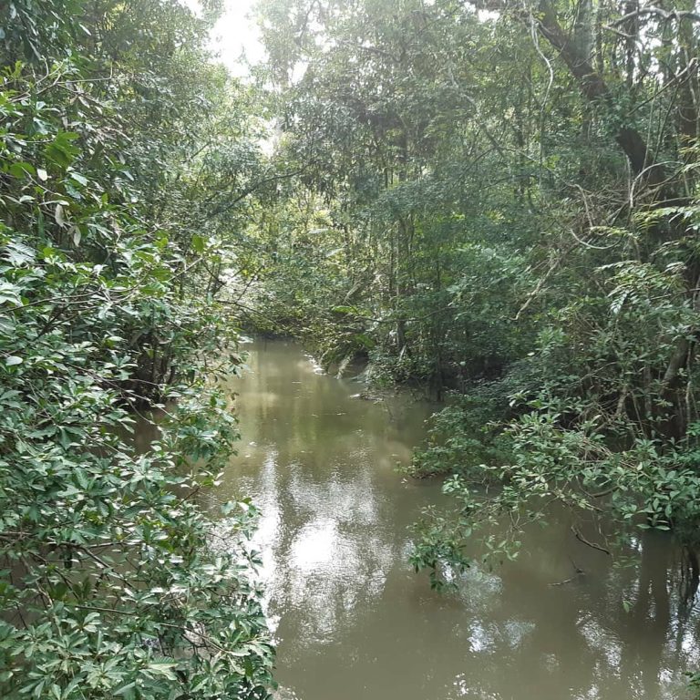 SaveClip.App_648940250_18093387440043819_5286088028360067085_n