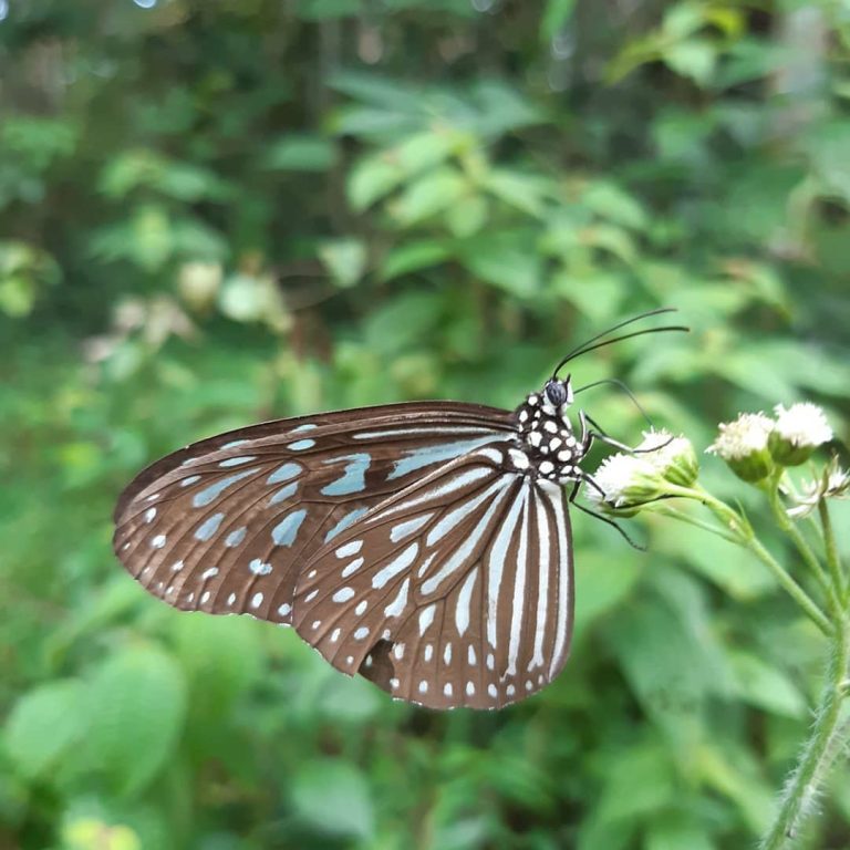 SaveClip.App_649217549_18114102049642212_2727223691831893821_n