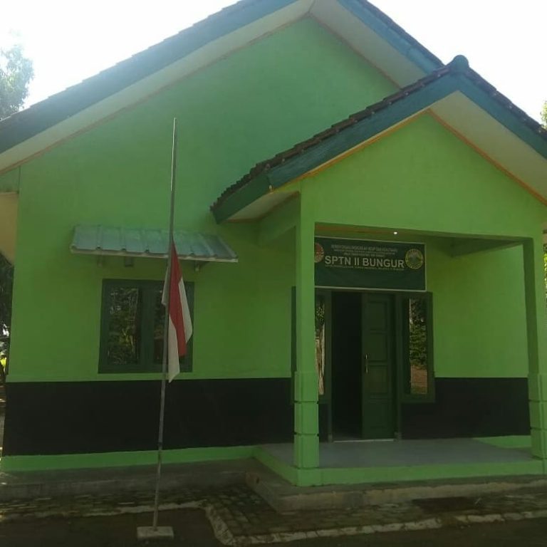 SaveClip.App_649228753_18096616171984993_8553700105401671568_n