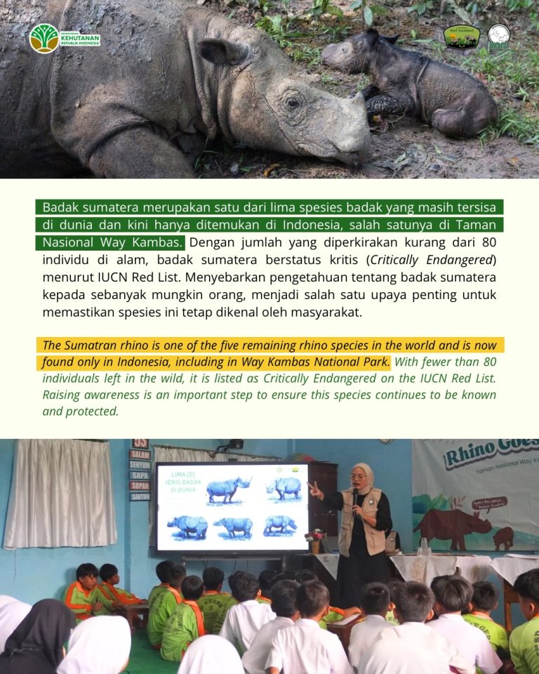 SaveClip.App_650023961_18459946579101684_4629777321887105117_n