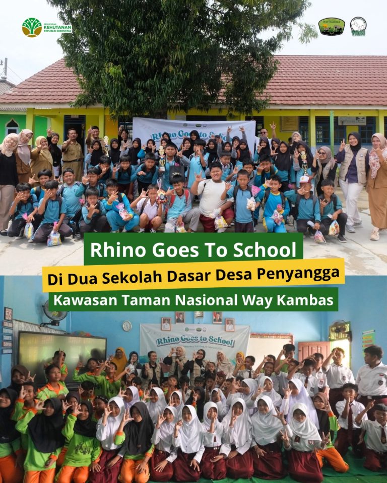 SaveClip.App_650905349_18459946498101684_1549604469414641408_n