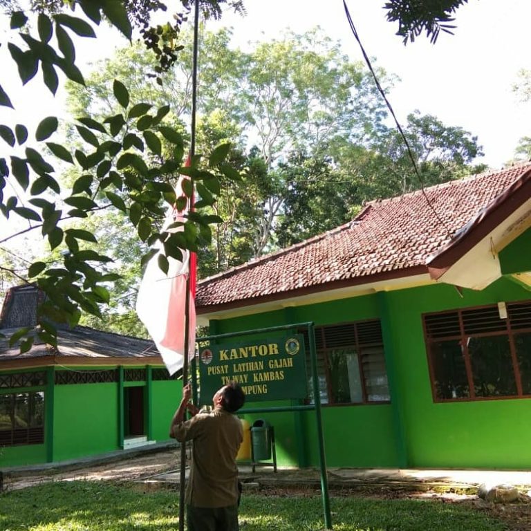 SaveClip.App_87397911_806916079714293_365987059574940134_n