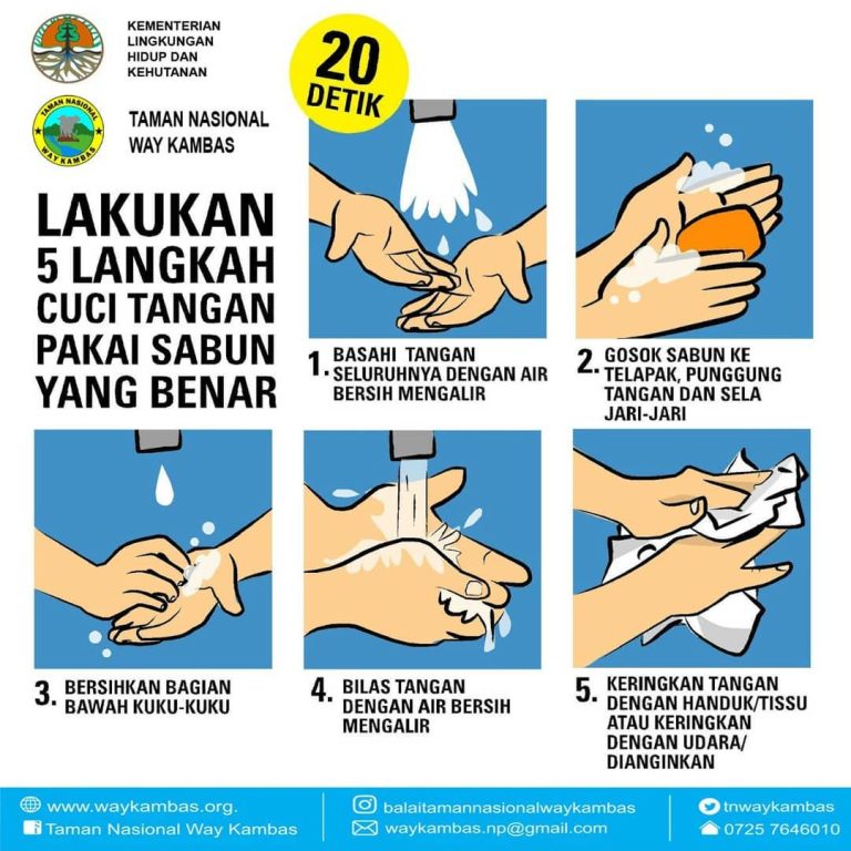 SaveClip.App_89639781_213864473029271_6489816707169150886_n