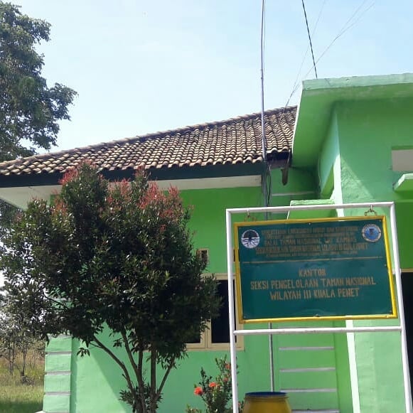 SaveClip.App_89831184_562838974440785_4501198924059600235_n