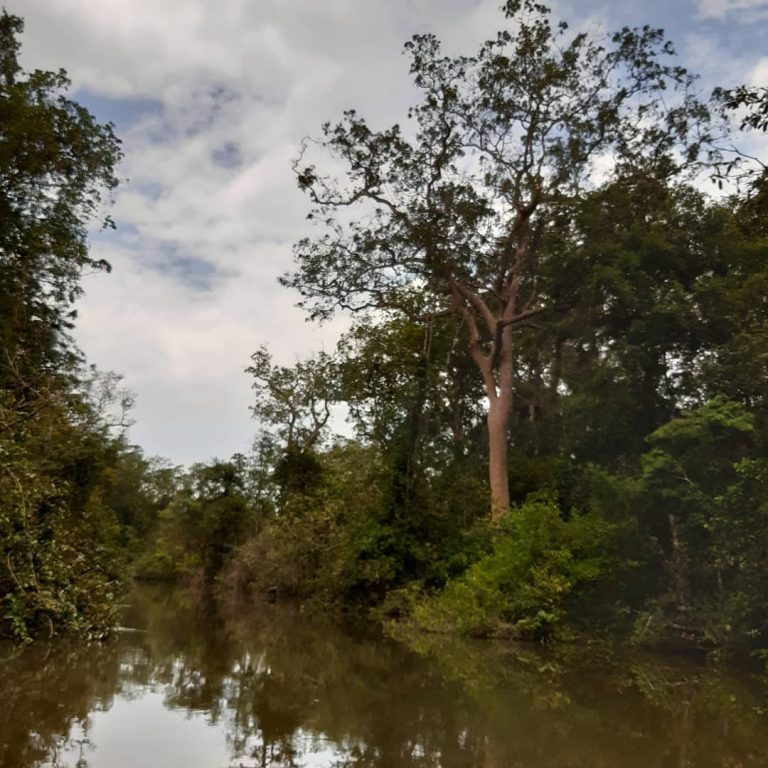 SaveClip.App_90088765_636883813798739_7197422619276279482_n