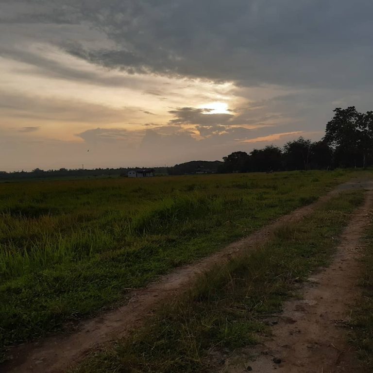 SaveClip.App_90225113_864338710684843_548045367295371402_n