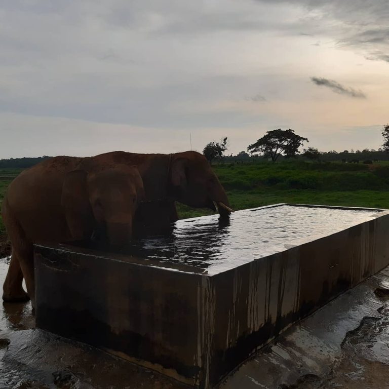 SaveClip.App_90396309_200222511270120_247632689970707110_n