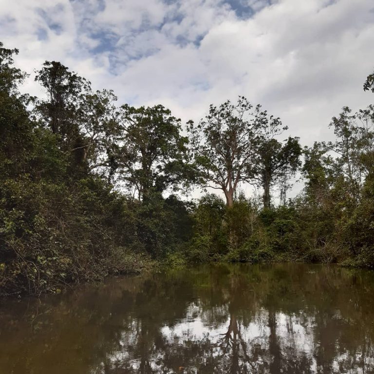 SaveClip.App_90415859_194379312012120_5091955659719842642_n