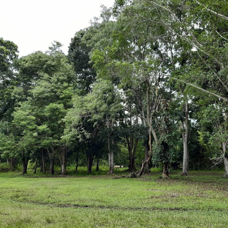 SaveClip.App_90429325_206447624028533_5324053168477492069_n