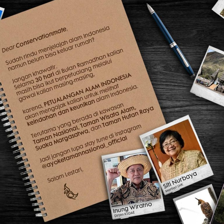 SaveClip.App_641746561_18097769878763979_3506533073160960512_n