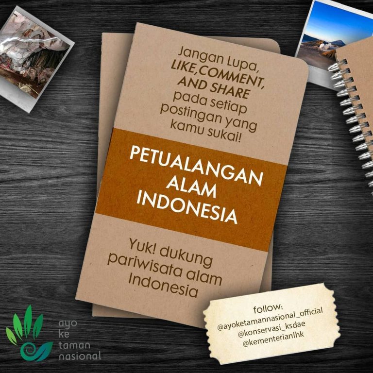 SaveClip.App_94022225_2495467350763577_5317426173223845151_n