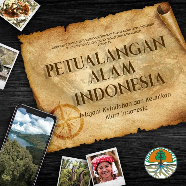 SaveClip.App_94175122_243805413398826_3882273138548555481_n