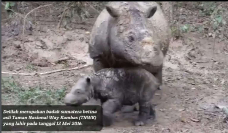 Screenshot 2026-03-02 113748