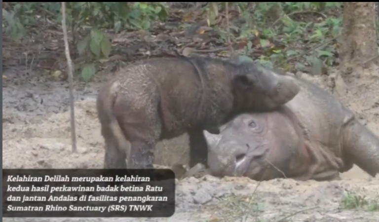 Screenshot 2026-03-02 113811