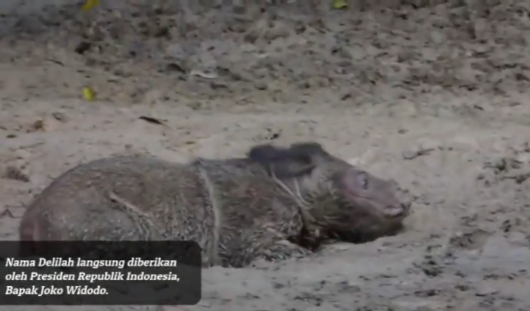 Screenshot 2026-03-02 113848