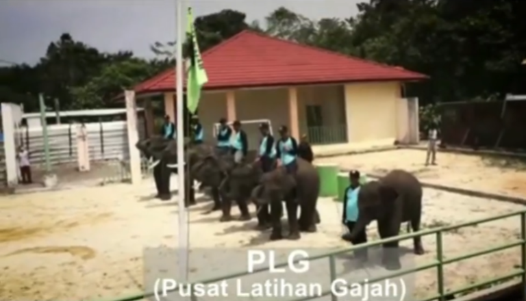 Screenshot 2026-03-02 114530