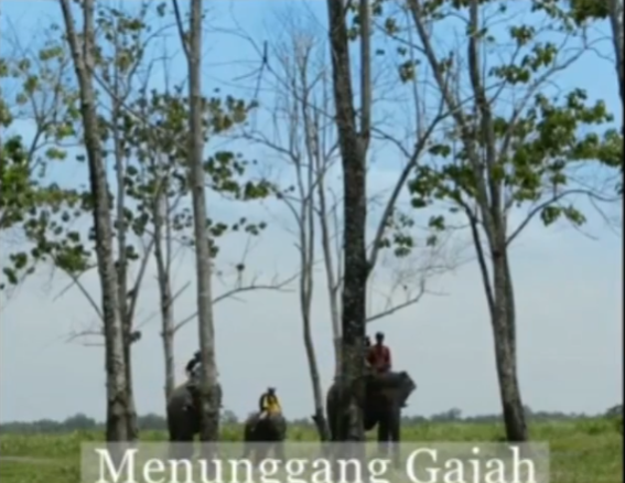 Screenshot 2026-03-02 114553