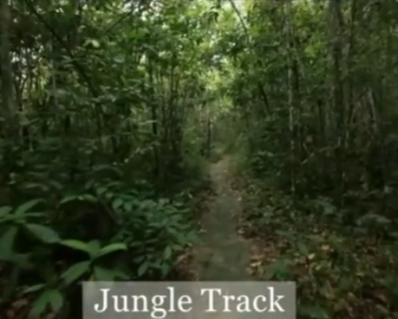 Screenshot 2026-03-02 114627